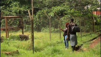 Stunning Black Beauty Sucks & Gets Pounded Hard!