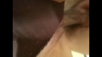 French Amateur's Sizzling DoggyStyle in Satin Lingerie!