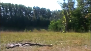 Natasha's Insane Amateur Blowjob Frenzy